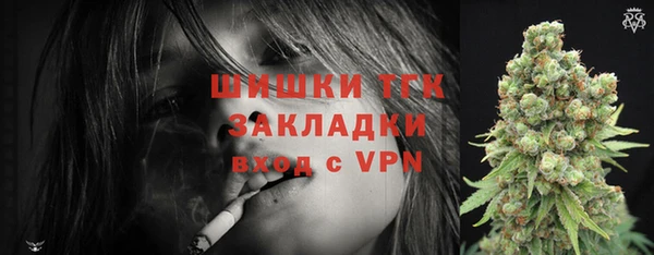 дживик Абаза