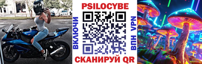 закладка  Аксай  Галлюциногенные грибы мицелий 